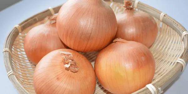 【野菜の漢字読みクイズ】身近な野菜の名前、漢字で読めますか?
