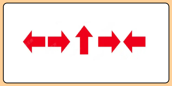 2026 高齡駕駛「三力測試」：認知功能全真模擬練習題庫