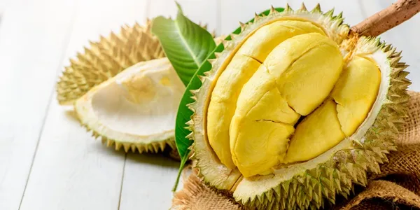 只有 1% 的長輩能拿滿分!這20種水果你認得幾種?