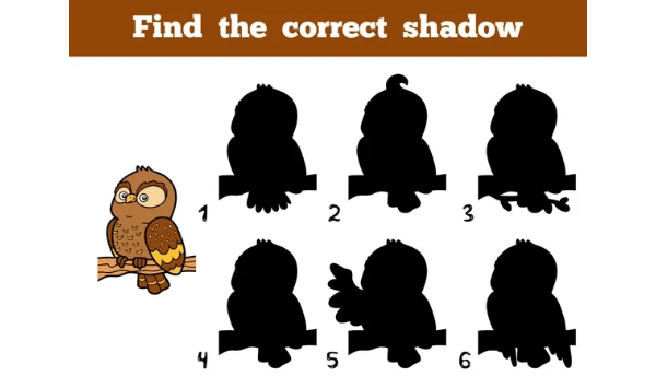 Question Image