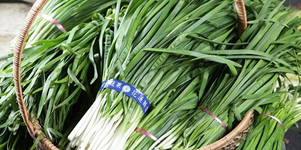 腸道健康食物大挑戰：20題測出你的益生菌智商