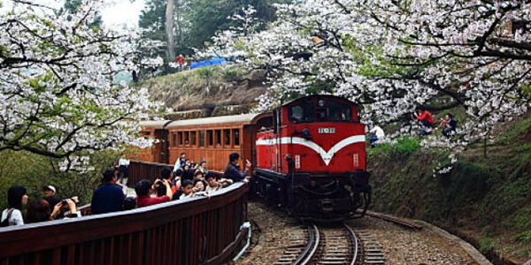 全台無障礙景點大挑戰：20題測出你的友善旅遊段位