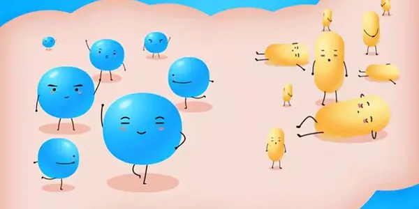 腸道健康食物大挑戰：20題測出你的益生菌智商