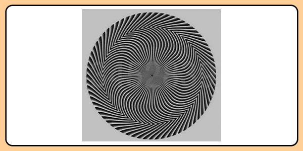 大腦眼力體操——防失智從「看」開始