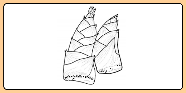 【脳力最高峰チャレンジ】 10分間の交通ロジック&記憶力テスト:脳を活性化し、安全を守る