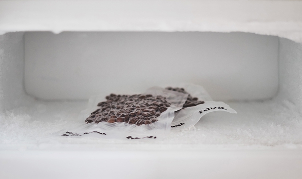 Many people keep their coffee beans in the freezer to keep them fresh. What does food science say about this habit?