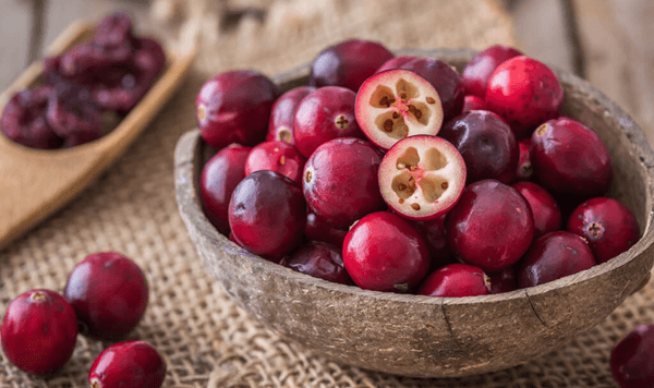 Which dark red berry is famously harvested by floating in freshwater bogs and serves as a classic Thanksgiving staple in North America?