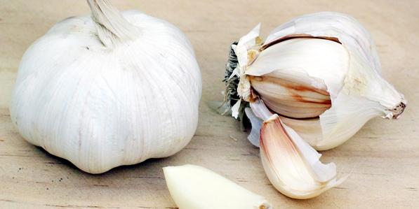 腸道健康食物大挑戰：20題測出你的益生菌智商