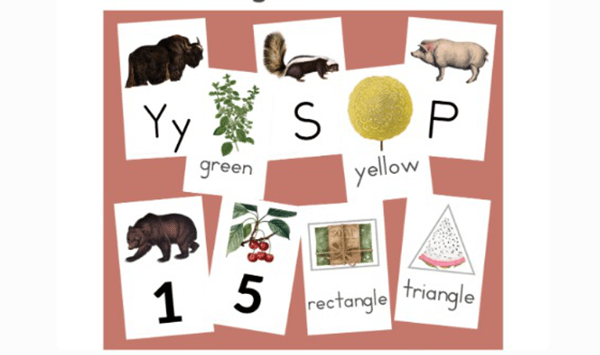 What popular educational study aid is shown in this image?