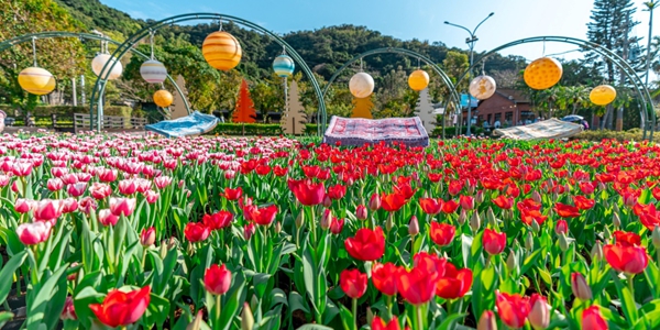 全台無障礙景點大挑戰：20題測出你的友善旅遊段位