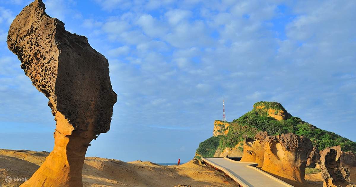 全台無障礙景點大挑戰：20題測出你的友善旅遊段位