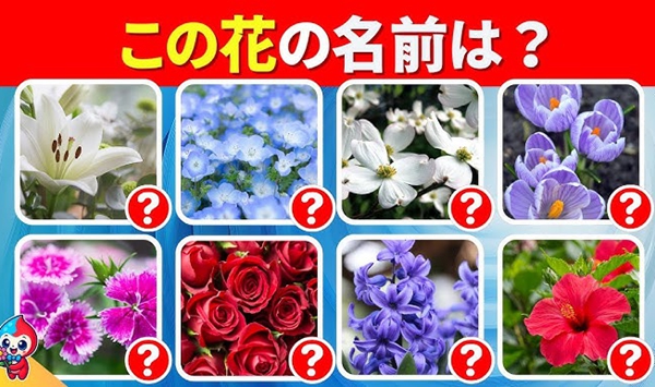 「この花、何だっけ…？」あなたの脳年齢をチェックする15の花クイズ