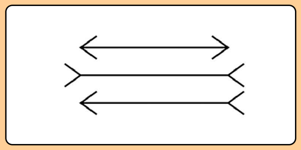 大腦眼力體操——防失智從「看」開始