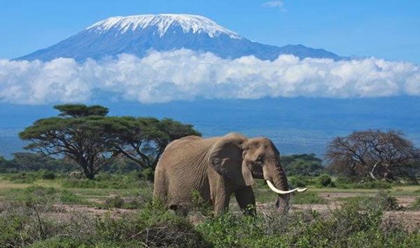 Rising 19,341 feet (5,895 meters) in Tanzania, which iconic African peak is the tallest freestanding mountain in the world-meaning it's not part of a larger mountain range?