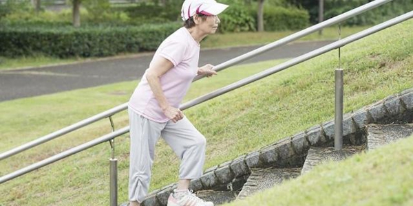 2026年版 シニアのための骨活ガイド:カルシウムだけじゃ足りない!骨粗しょう症予防のための栄養と自宅でできる運動