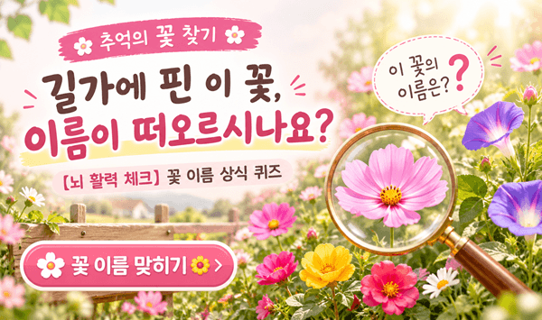 꽃 이름, 몇 개나 기억하시나요? 【뇌 활력 체크】 꽃 이름 상식 퀴즈