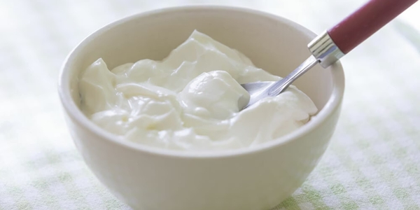 腸道健康食物大挑戰：20題測出你的益生菌智商