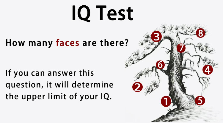 How many faces are there?