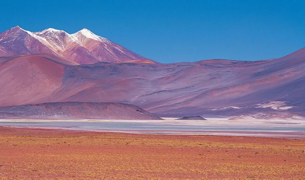 Which dry expanse along South America's Pacific coast is recognized as the driest non-polar desert on Earth, where some weather stations have never recorded a drop of rain?