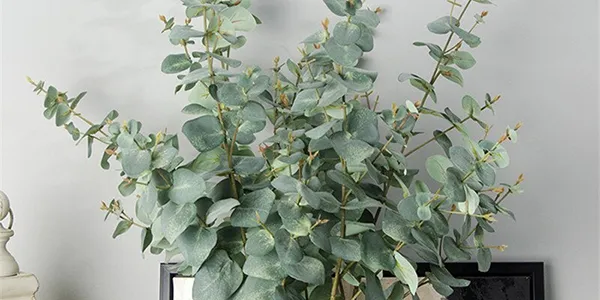 30種園藝植物大挑戰：即使是園藝高手，也未必能認出23種！