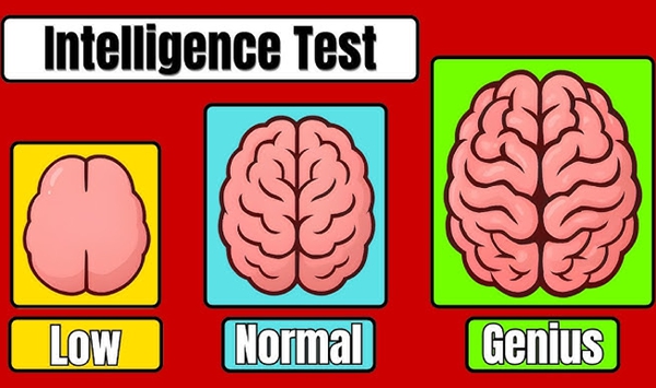 Only 1 in 10 Seniors Can Score 100% on This Logic Test - Can You?