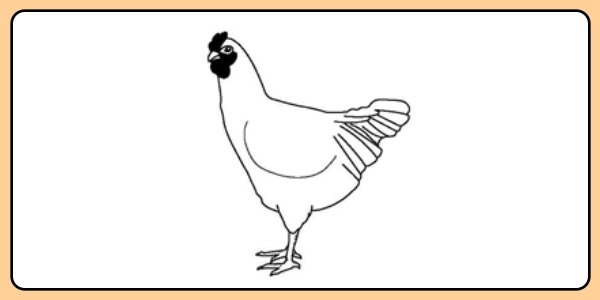 【脳力最高峰チャレンジ】 10分間の交通ロジック＆記憶力テスト：脳を活性化し、安全を守る