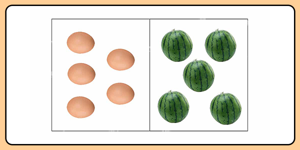 2026 高齡駕駛「三力測試」：認知功能全真模擬練習題庫