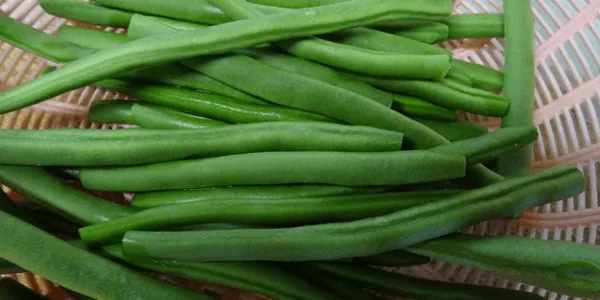 【野菜の漢字読みクイズ】身近な野菜の名前、漢字で読めますか？
