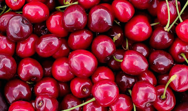 Which small, glossy red fruit reaches its peak harvest in early summer and is often grown in pairs on long stems?