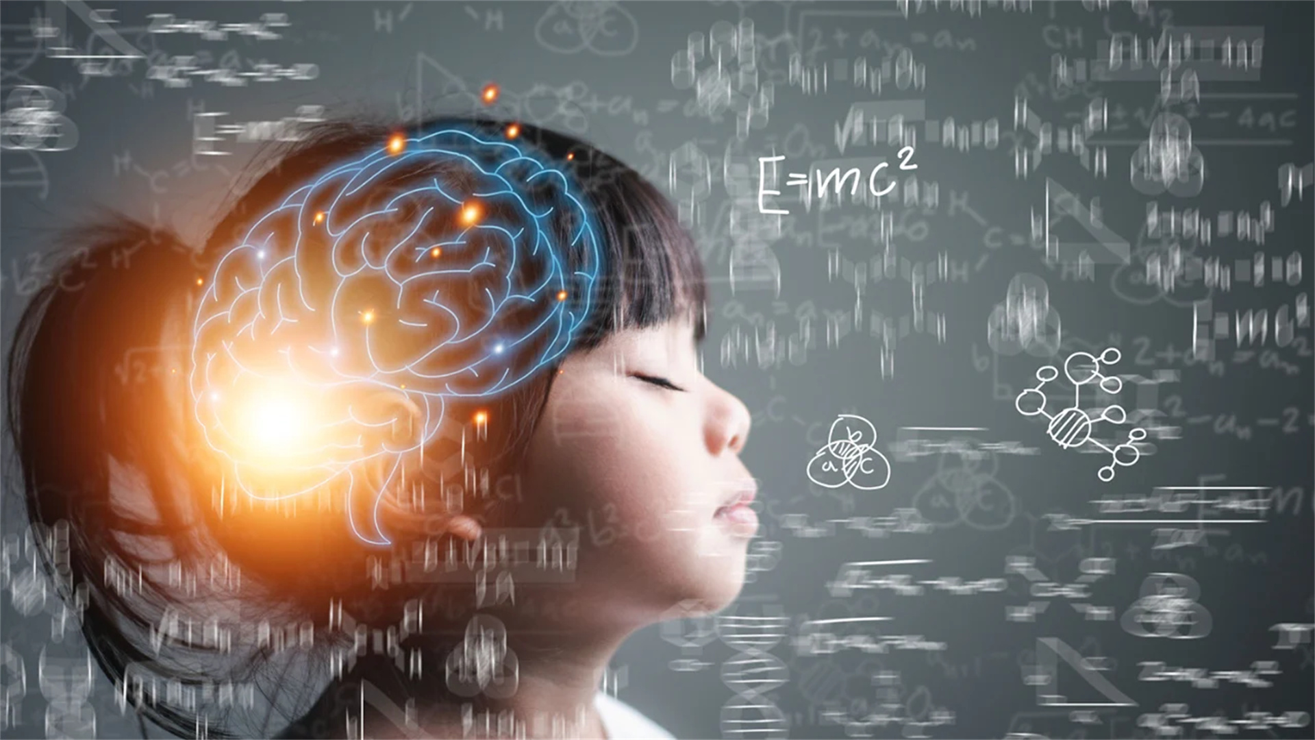 Eight Observation Windows and Development Focuses for Children Aged 0-6 in Intellectual Development