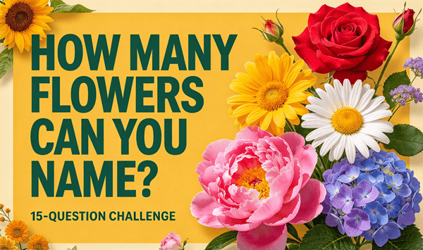 Remember These Flowers? Take the 15-Question Challenge!
