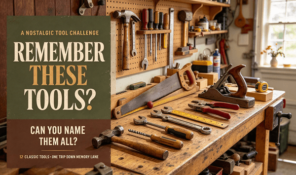 Everyday Tools Quiz: Can You Identify These Common Hand Tools?