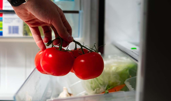 Is storing tomatoes on the kitchen counter better than keeping them in the refrigerator?