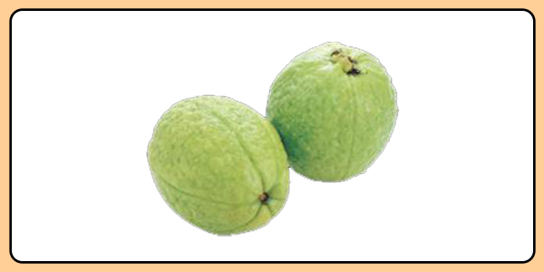 2026 高齡駕駛「認知功能測驗」：10 題精華挑戰版