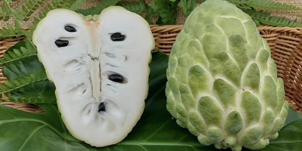 2026高血脂飲食禁忌測驗｜20題快篩你的飲食地雷，樂齡族必做！