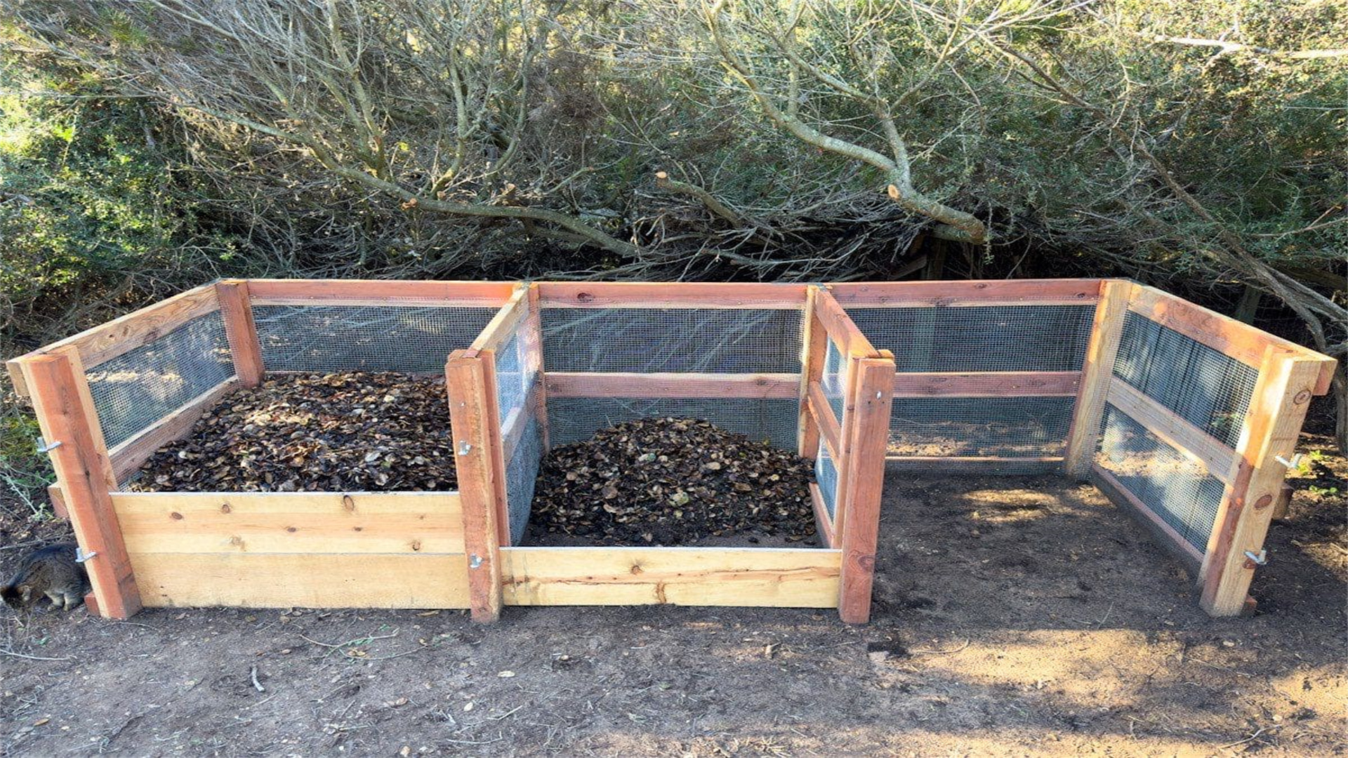 DIY Composting Tips for a Sustainable Garden