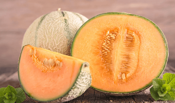 Which luxury melon is famous for its intricate, web-like tan netting over a green outer rind and sweet orange flesh?