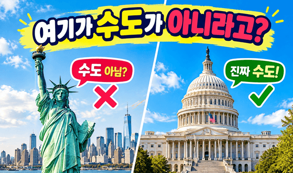 【대인의 세계 지리】 시니어 90%가 헷갈리는 '진짜 수도' 퀴즈