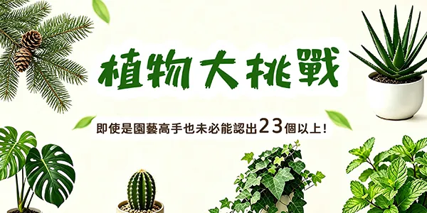 30種園藝植物大挑戰：即使是園藝高手，也未必能認出23種！