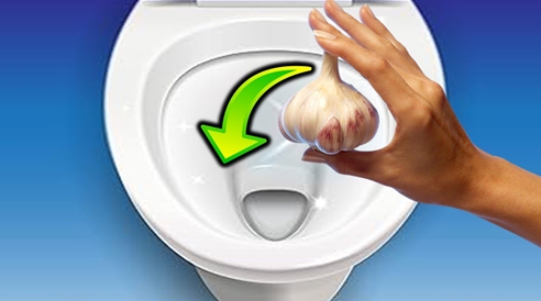 Drop a Garlic Clove in Your Toilet Before Bed - Here's Why