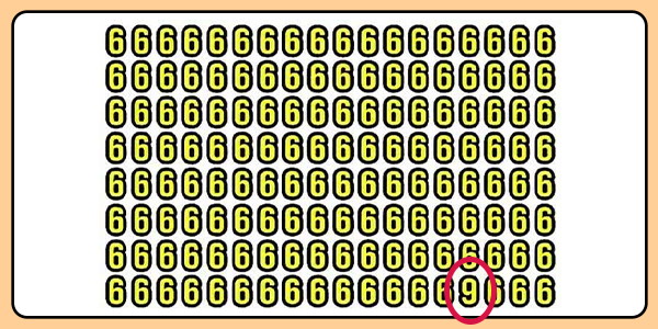 【目の健康&脳力チェック】シニアのための視覚認知トレーニング