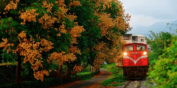 【2026年版】電車でゆったり旅しよう!大人のための鉄道旅行タイプ診断——あなたにぴったりの旅先は?