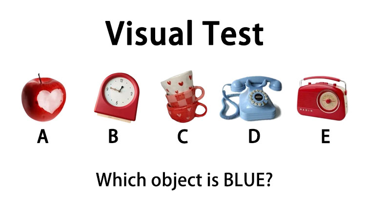 Which object is BLUE?