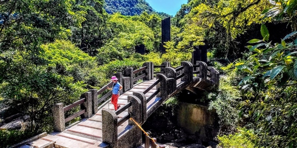 全台熟齡旅行：測測哪種「慢活風景」適合您？