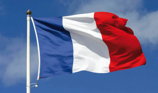 Which country's flag consists of three vertical stripes in blue, white, and red?