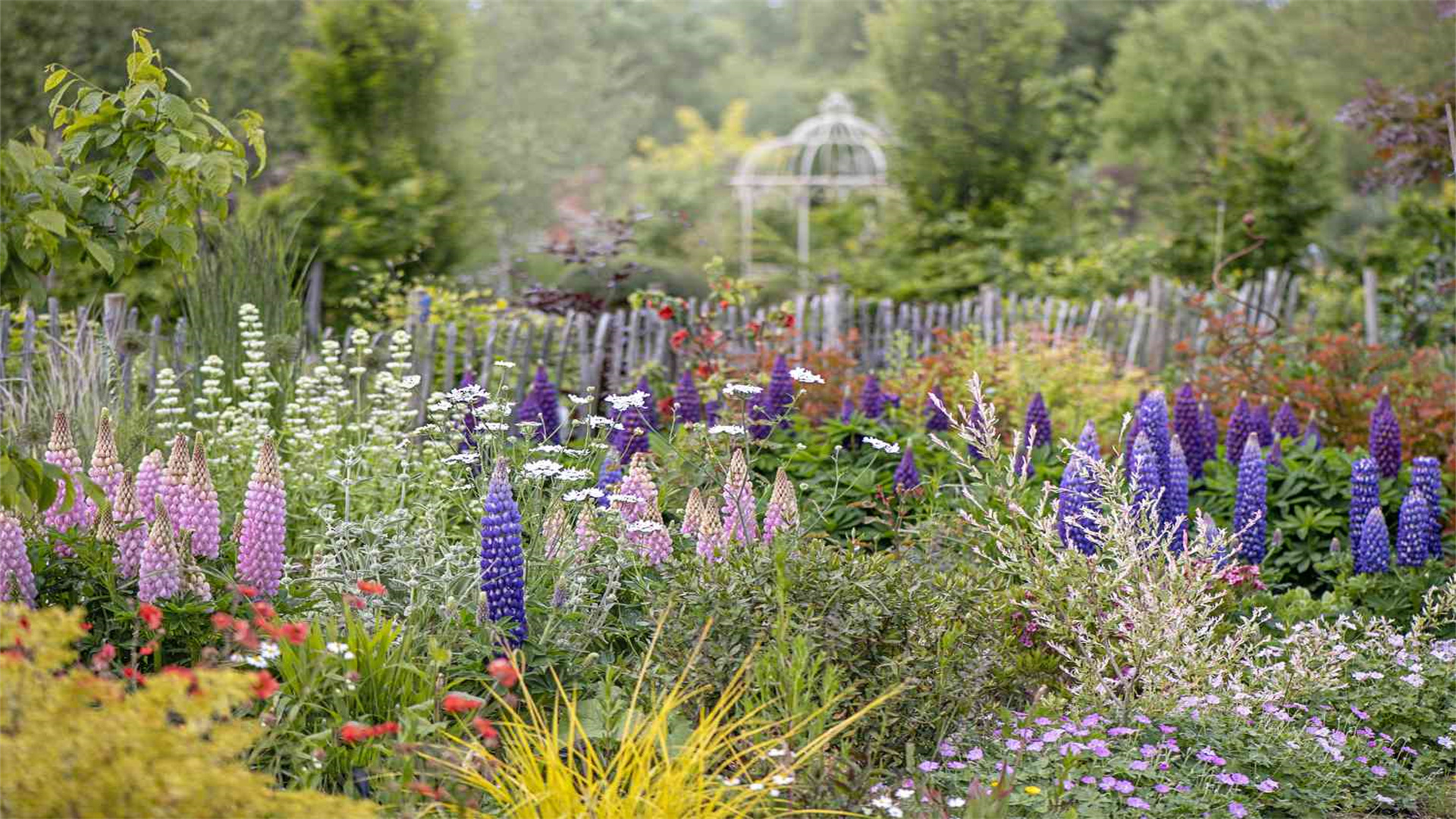 How to Incorporate Colorful Flowers Into Your Garden Design
