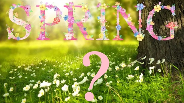 Test Your Spring Garden Knowledge: Pro or Newbie?